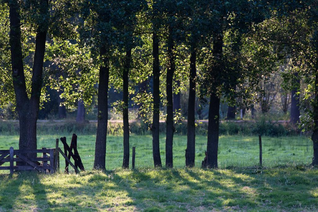 Blier Herne Gorredijk Zewnętrze zdjęcie