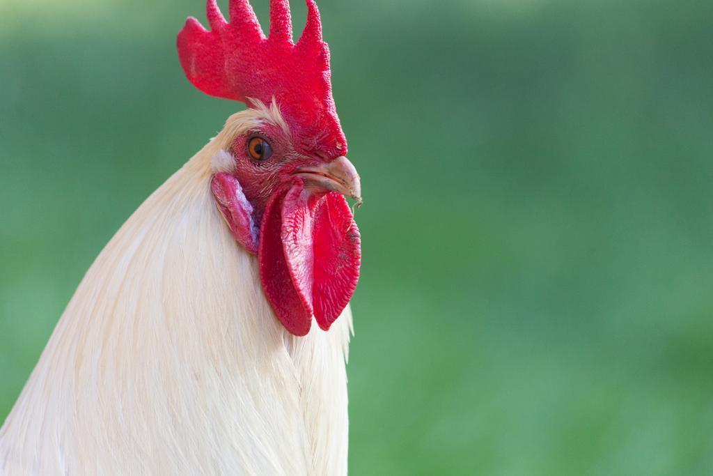 Blier Herne Gorredijk Zewnętrze zdjęcie